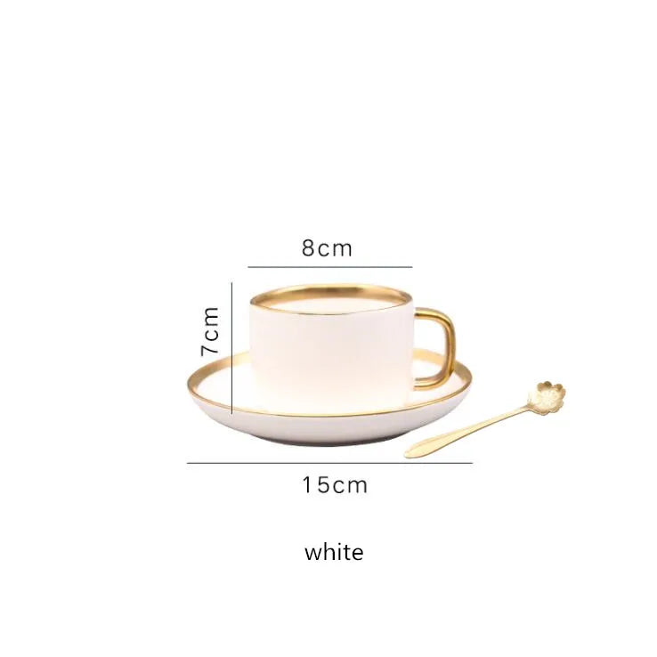 Matte Rim White Porcelain Dinner Plates