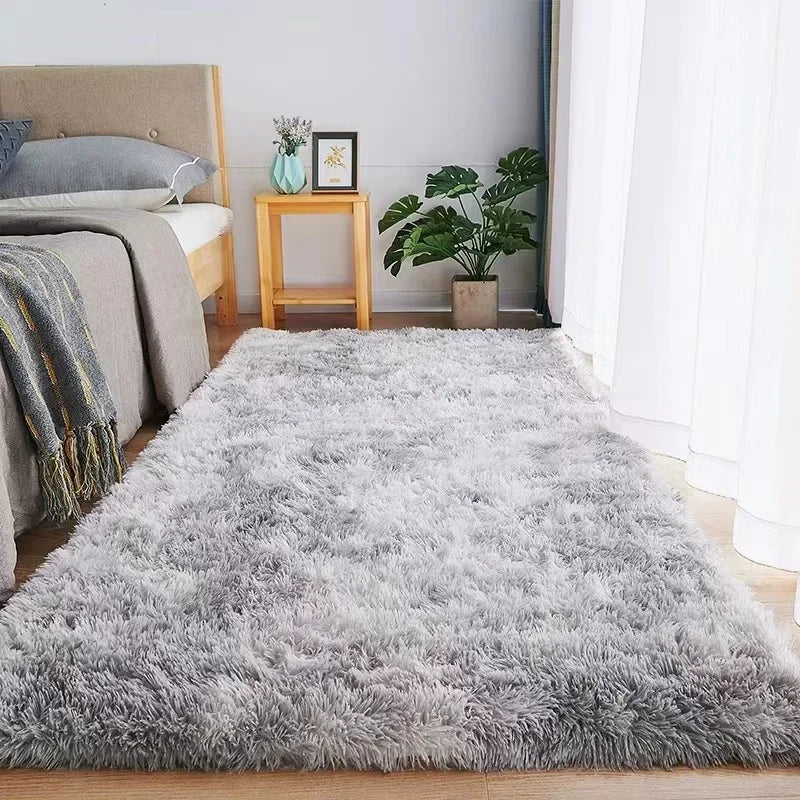 Plush Living Room Rug