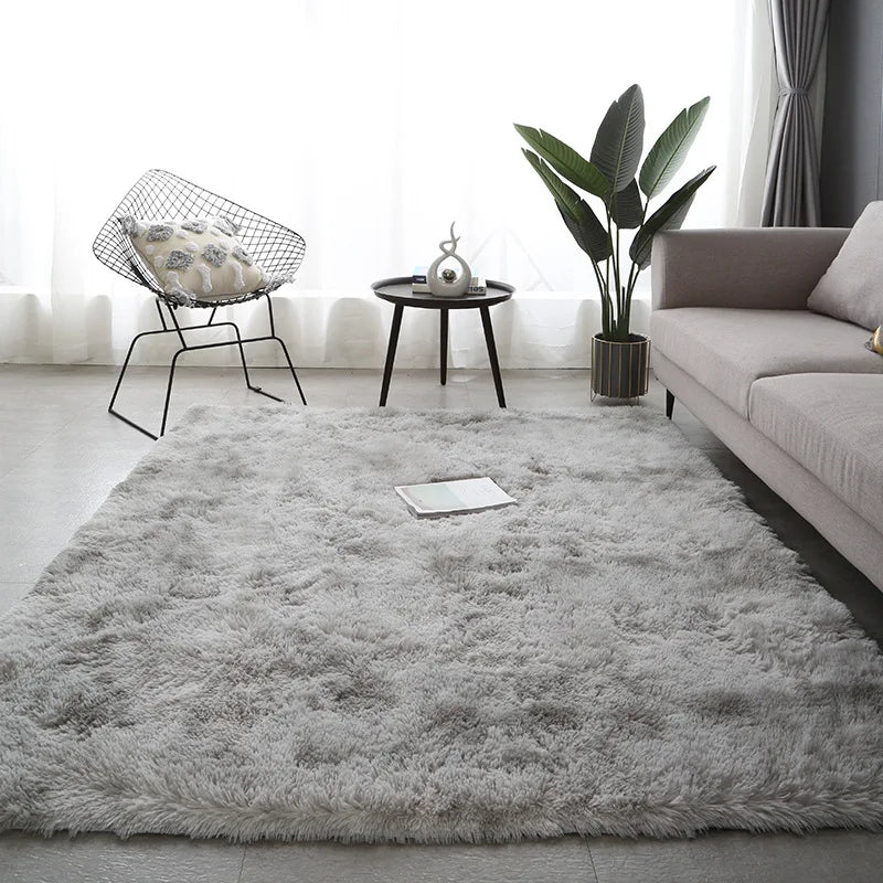 Plush Living Room Rug