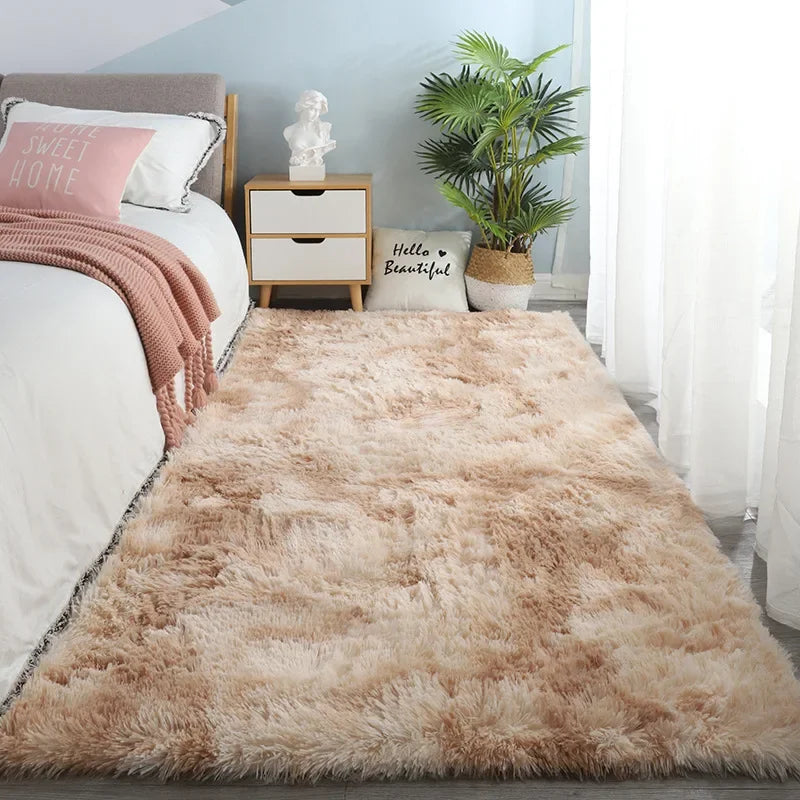 Plush Living Room Rug