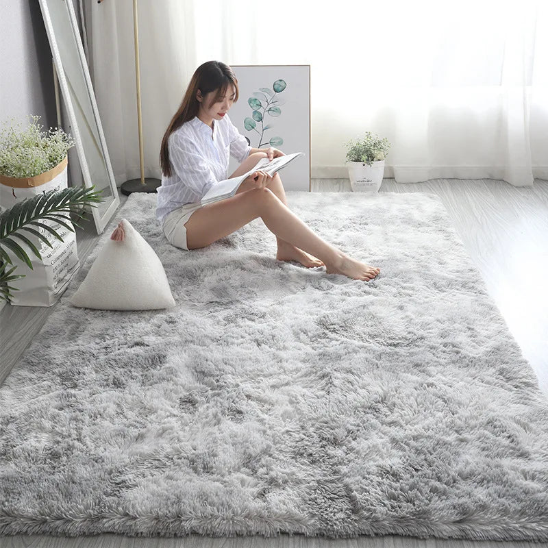 Plush Living Room Rug