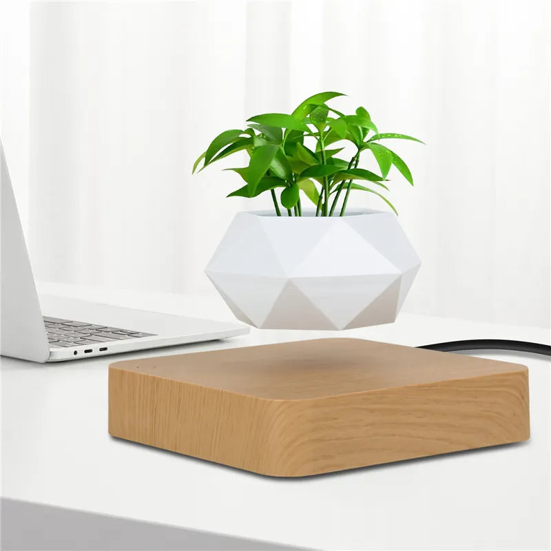 Levitating Air Bonsai Flower Planter